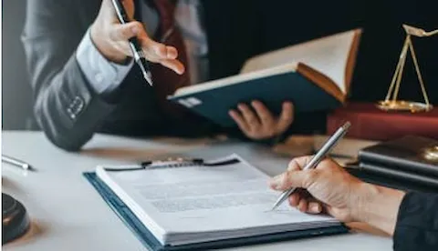 Litigation Services