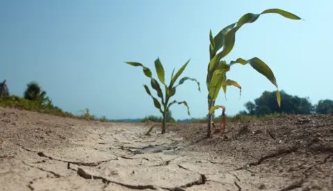 Contaminated land