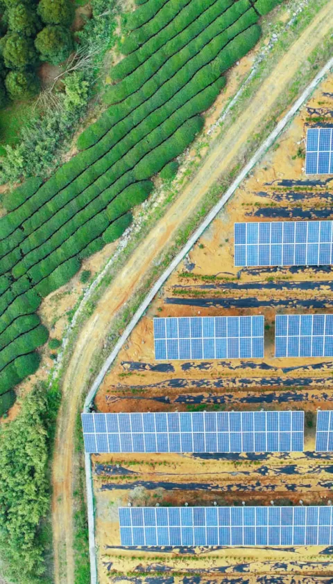Solar placeholder